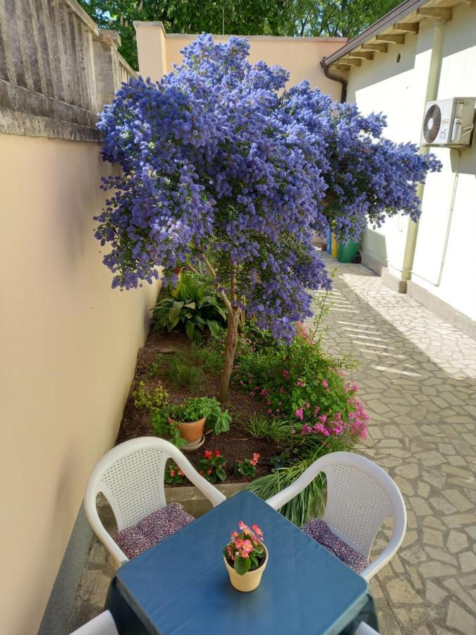 PUY Apartment Punta מראה חיצוני תמונה